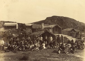 Whakerewarewa, 1889 o 1890 (impresión de albúmina)